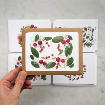 Red Berries and Green Leaves | Assorted 8 Card Set