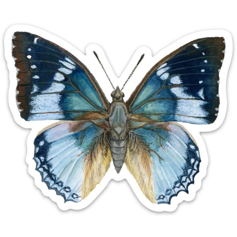 Blue Butterfly | Vinyl Sticker