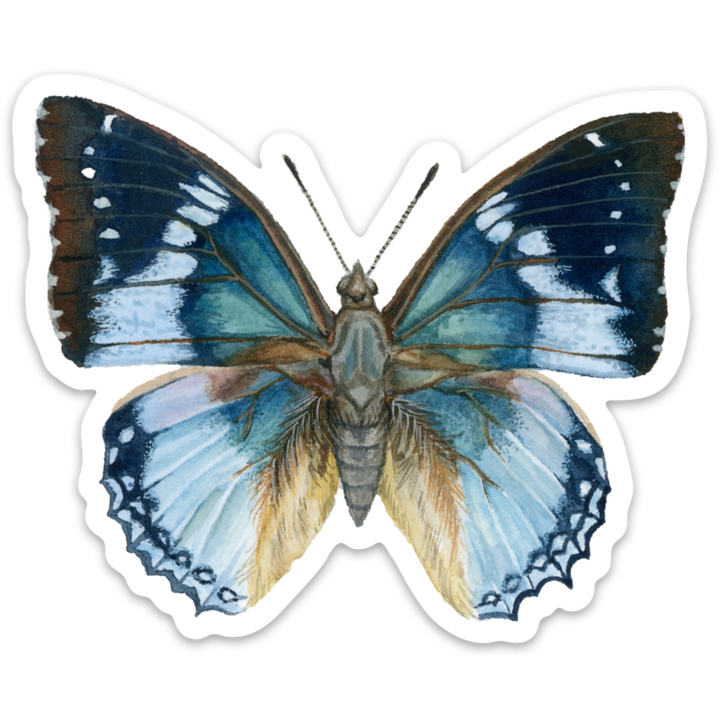 Blue Butterfly | Vinyl Sticker