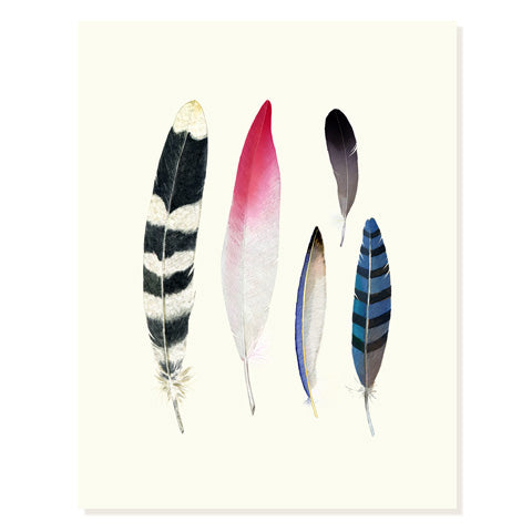 Feather Collection | Greeting Card