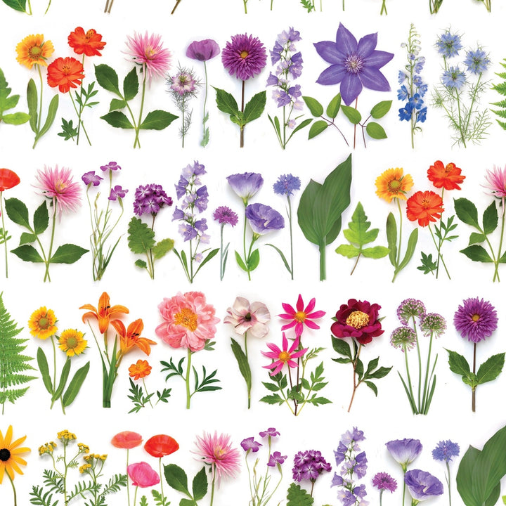 Blooming Rainbow | Gift Wrap