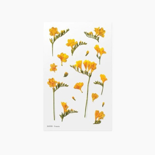 Freesia | Pressed Flower Sticker