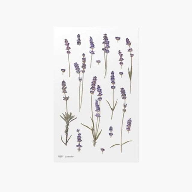 Lavender | Pressed Flower Sticker