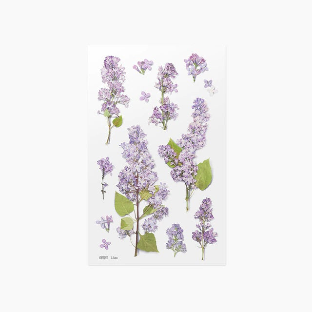 Lilac | Pressed Flower Sticker