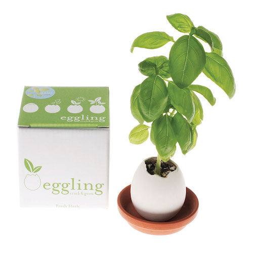 Basil Eggling