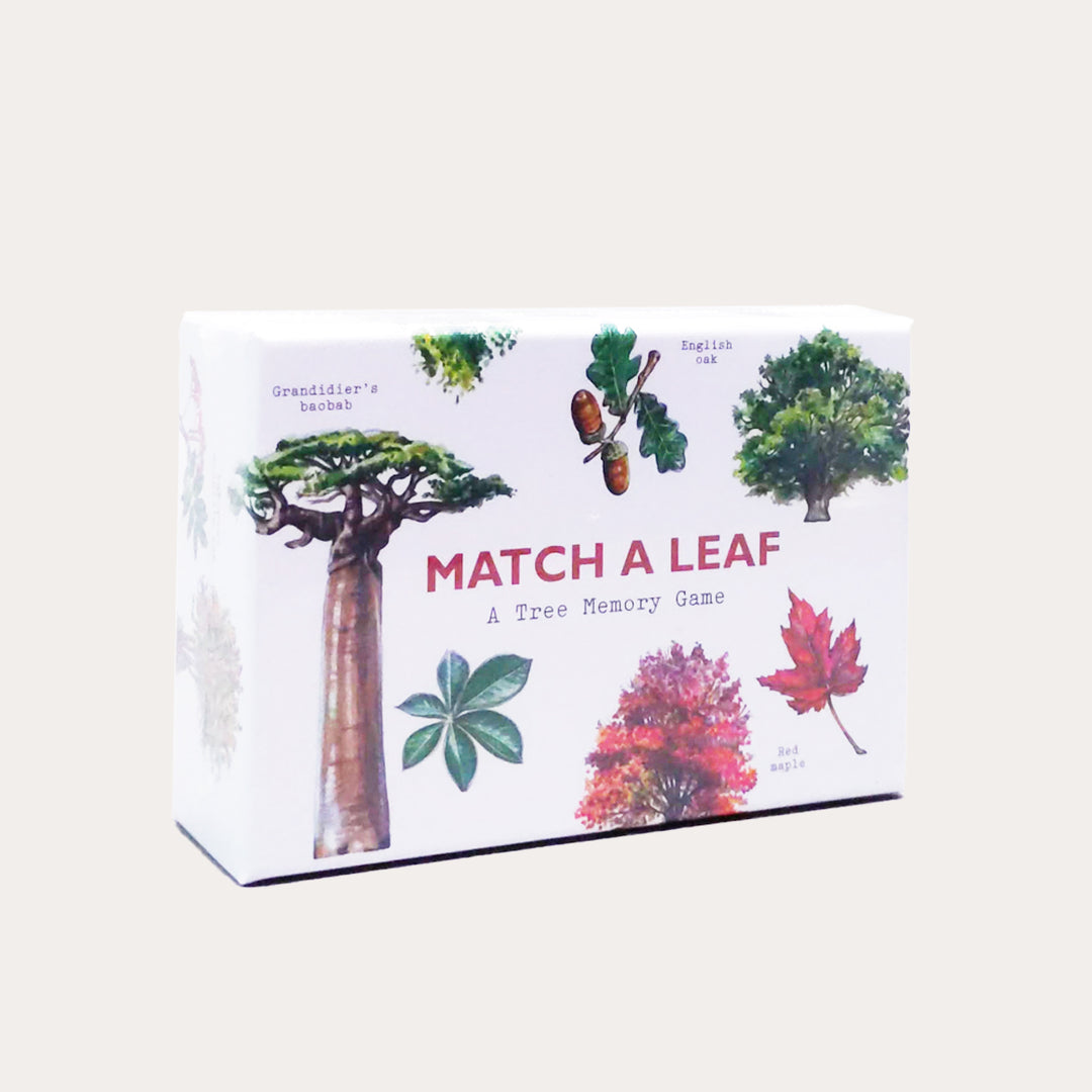Match a Leaf | A Tree Memory Game