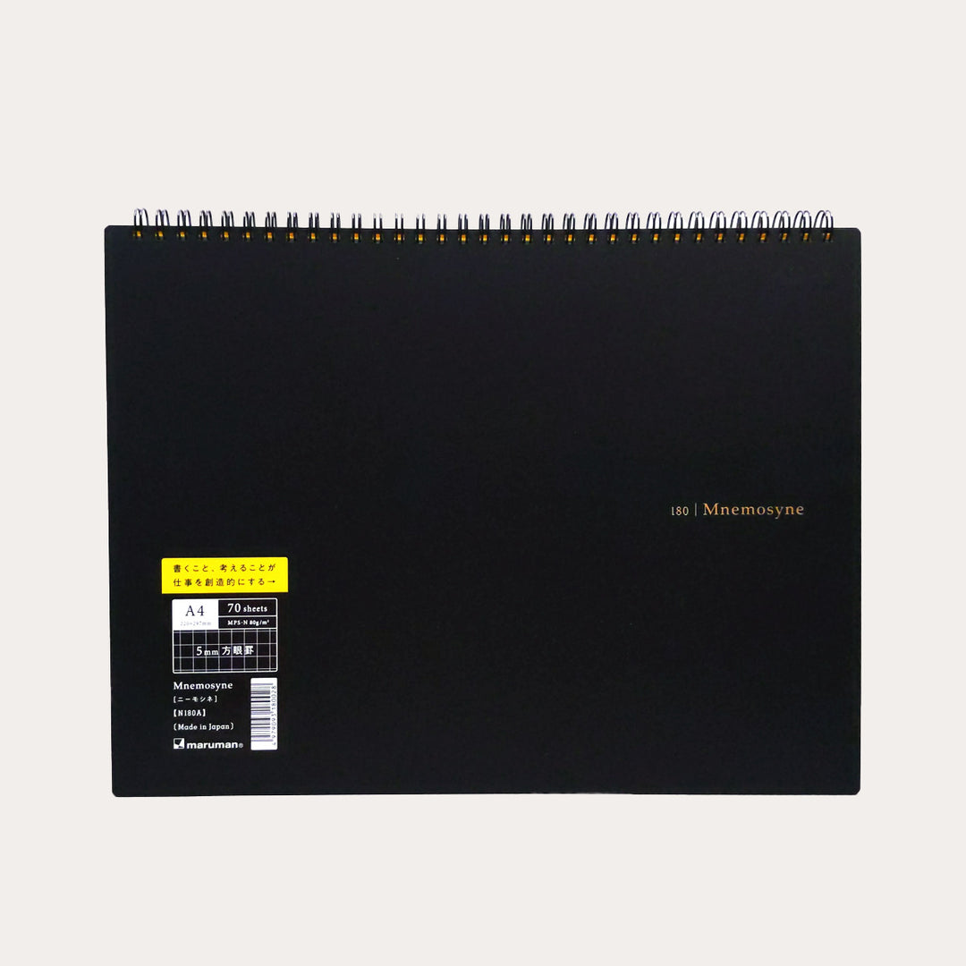 Mnemosyne Graph Notebook