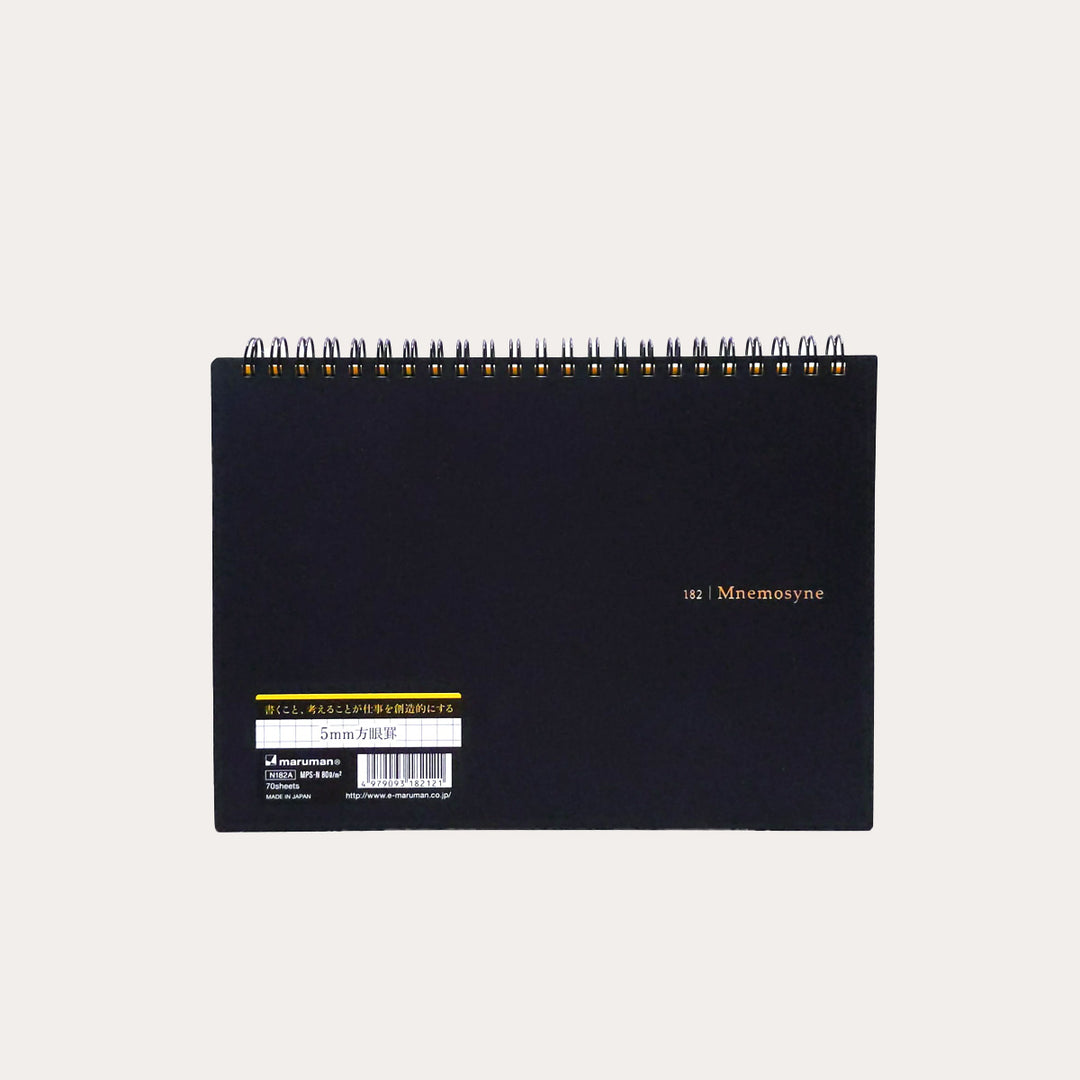 Mnemosyne Graph Notebook