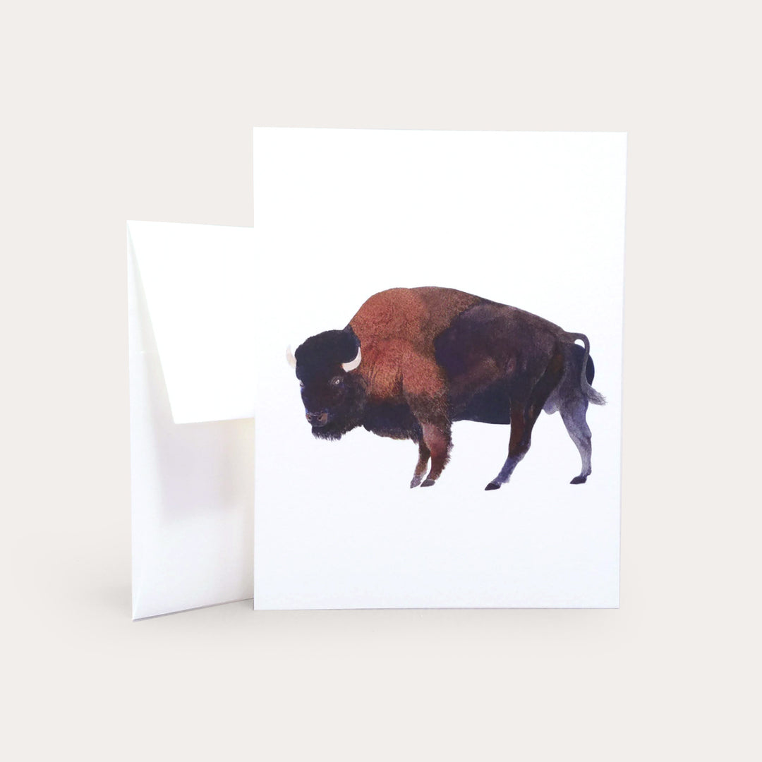 Buffalo | Greeting Card