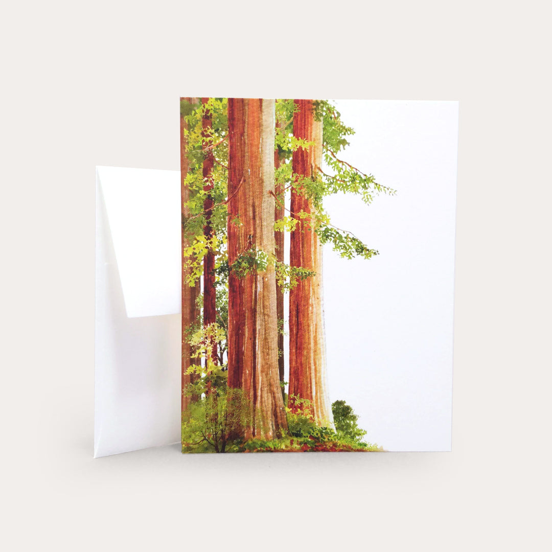 Redwoods | Greeting Card