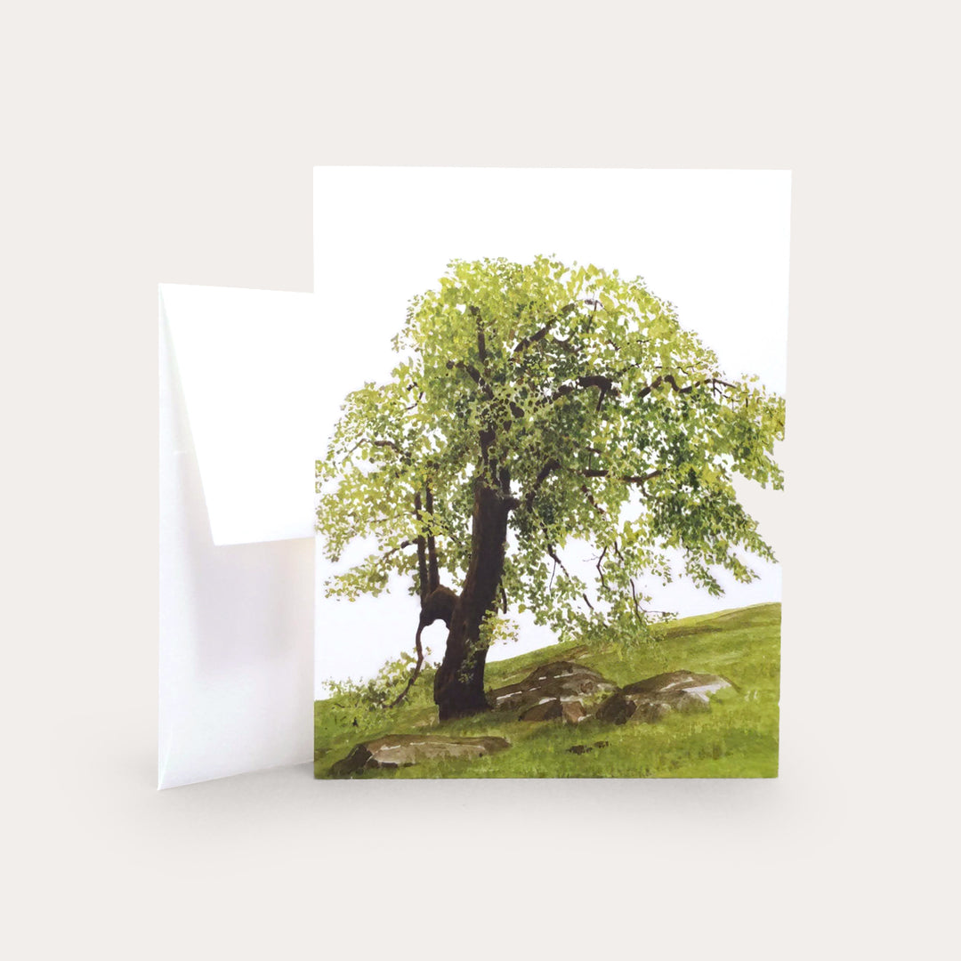 Oak Hill | Greeting Card