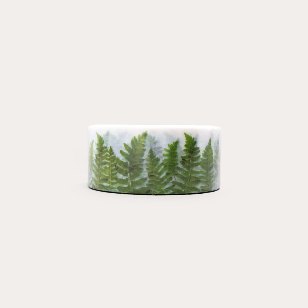 Ferns | Washi Tape