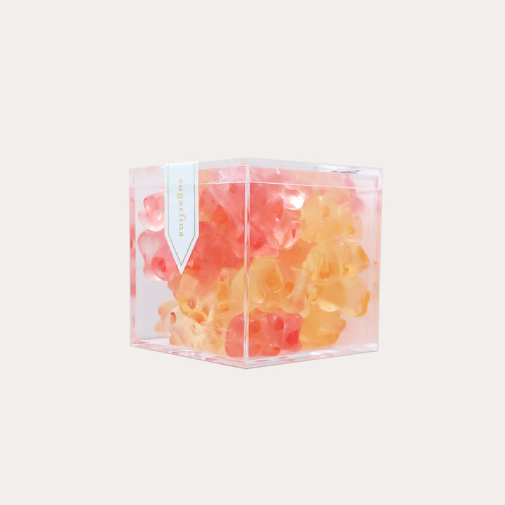 Champagne Bears | Small Cube