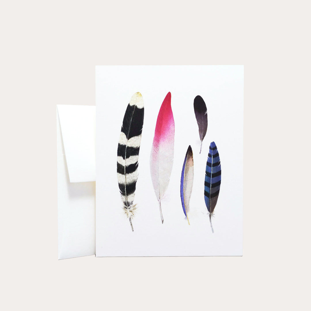 Feather Collection | Greeting Card