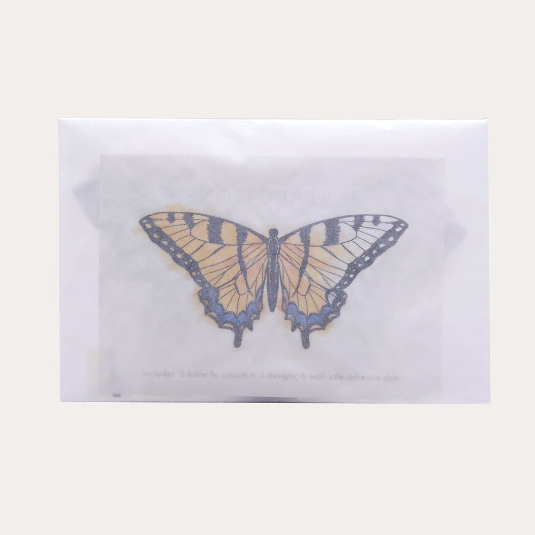 Butterfly Coloring Kit