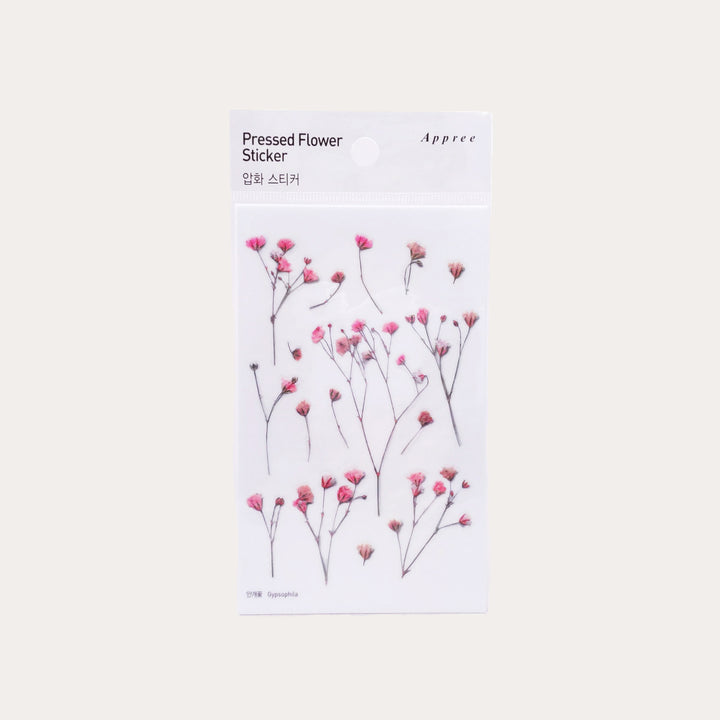 Gypsophila | Pressed Flower Sticker