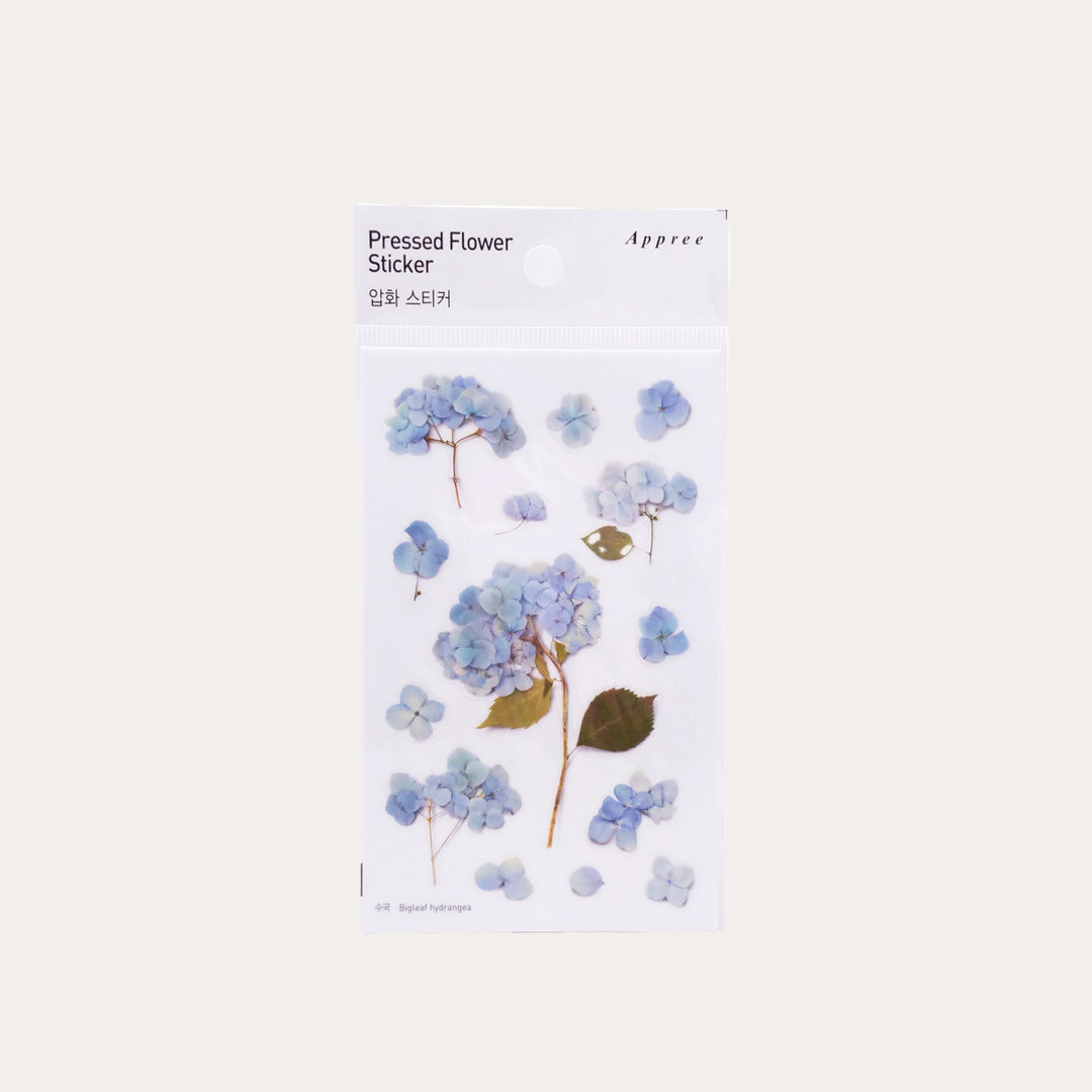 Bigleaf Hydrangea | Pressed Flower Sticker