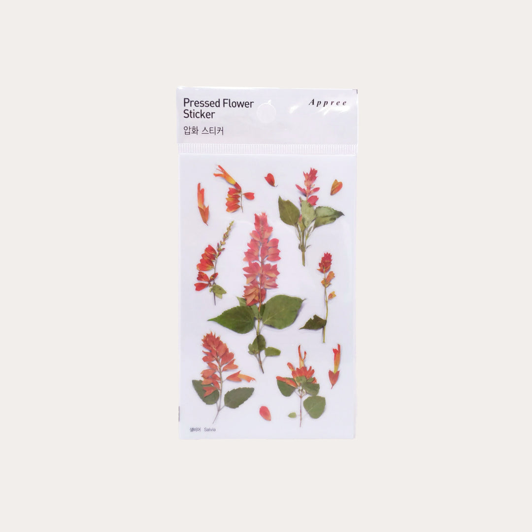 Salvia | Pressed Flower Sticker