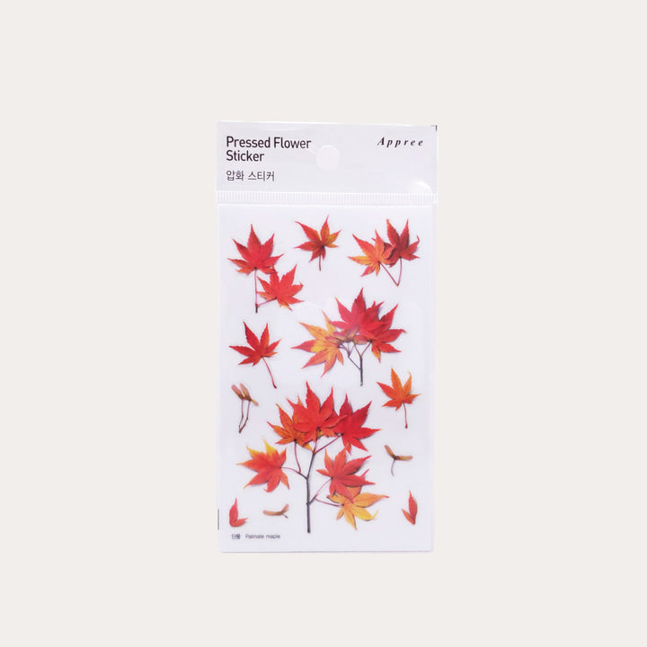 Palmate Maple | Pressed Flower Sticker