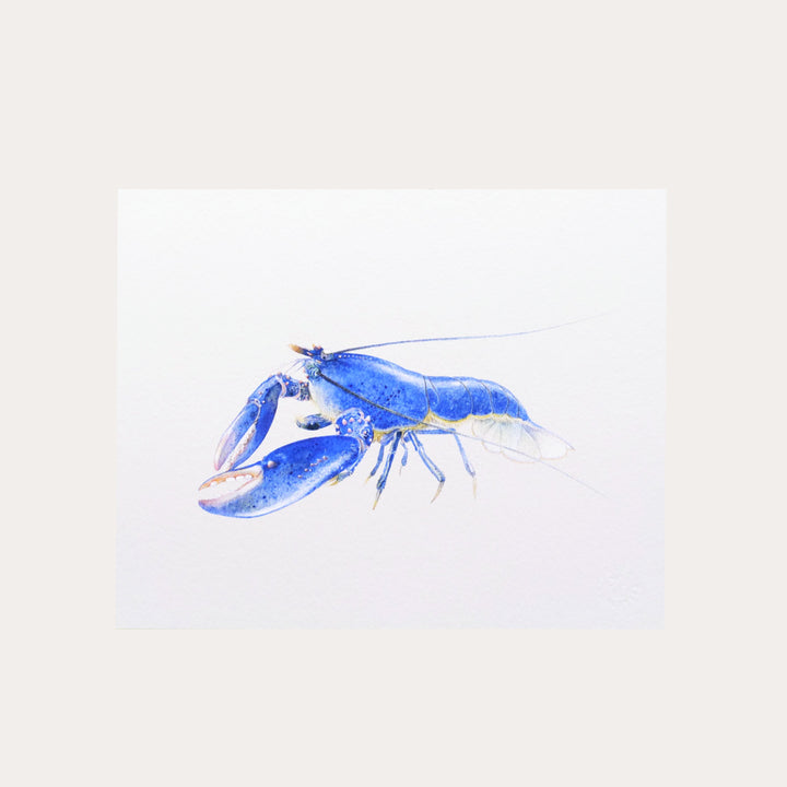Blue Lobster | Art Print