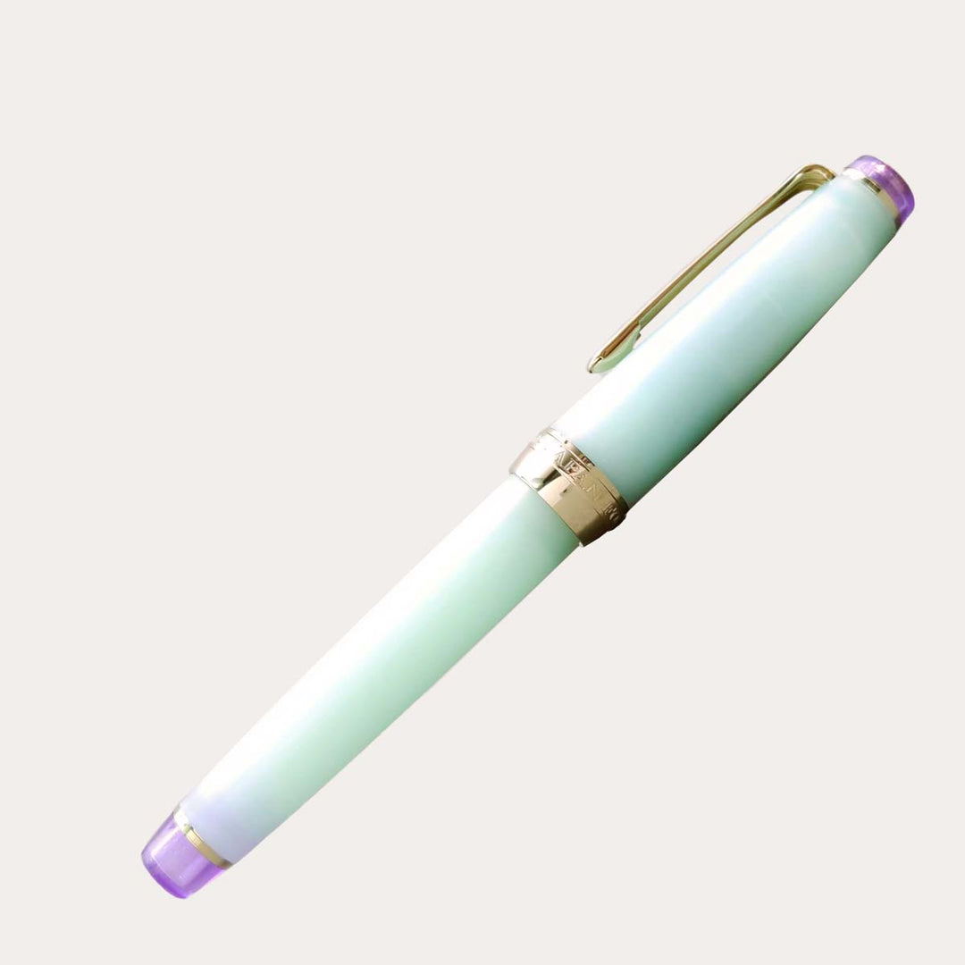 Pro Gear Slim Fountain Pen | Sound of Rain | Spring Rain | Harusame | Limited Edition *