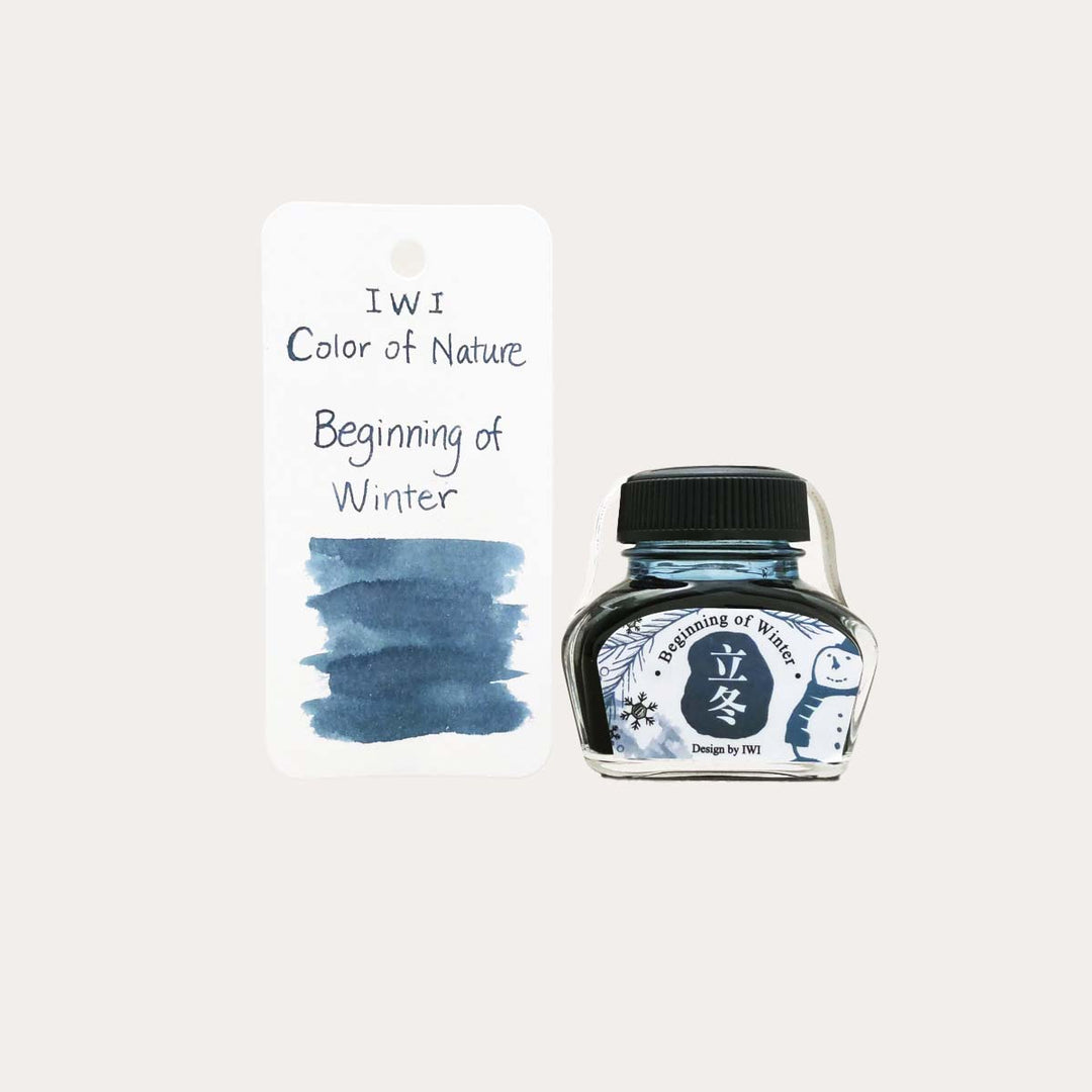 Beginning of Winter | Color of Nature Fountain Pen Ink