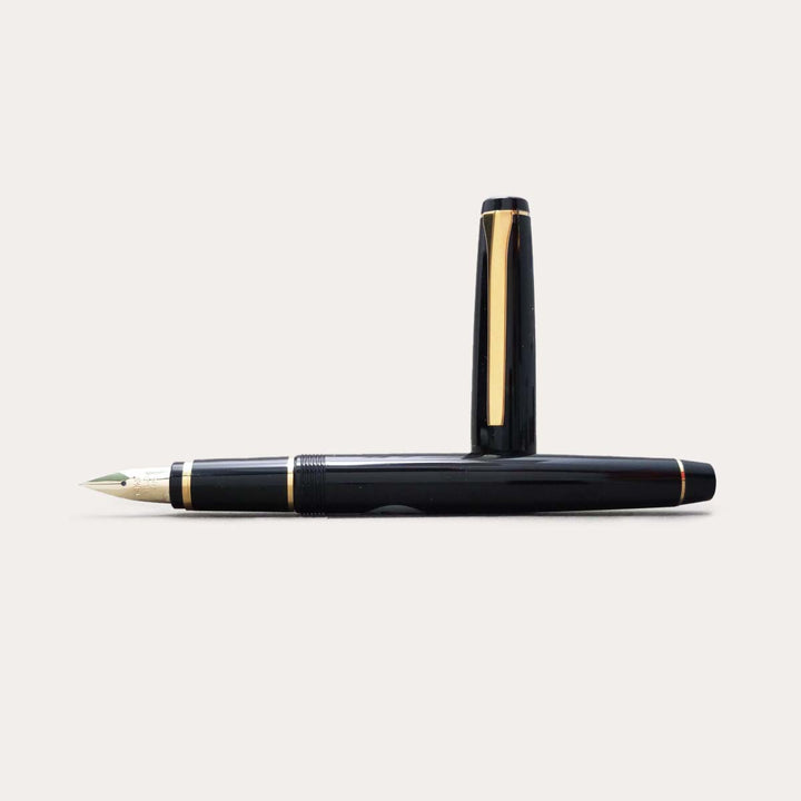 Falcon Fountain Pen | Black with Gold Trim | Soft Fine