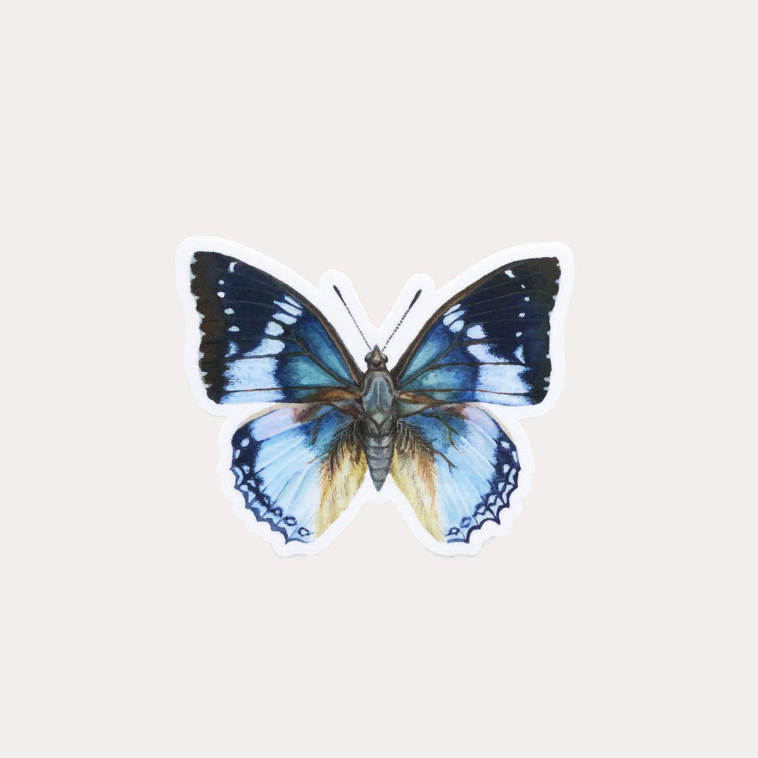 Blue Butterfly | Vinyl Sticker