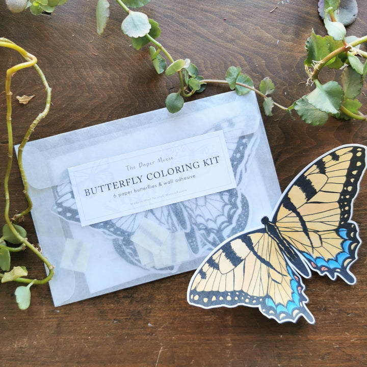 Butterfly Coloring Kit