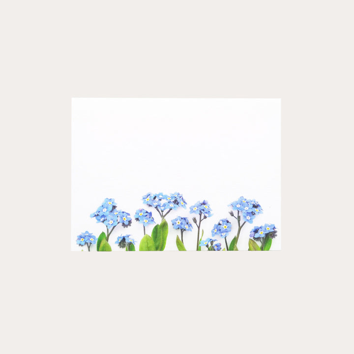 Blue Forget-me-not | 8 Flat Card Set