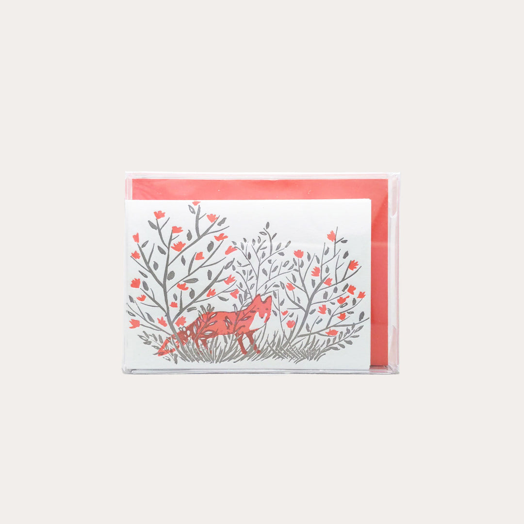 Red Fox | 6 Enclosure Card Set