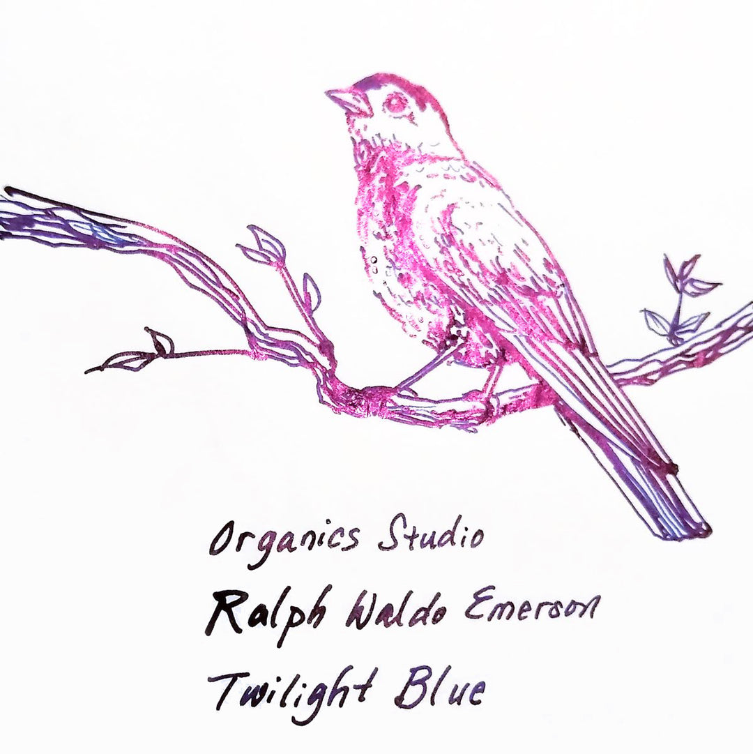 Ralph Waldo Emerson Twilight Blue | Fountain Pen Ink