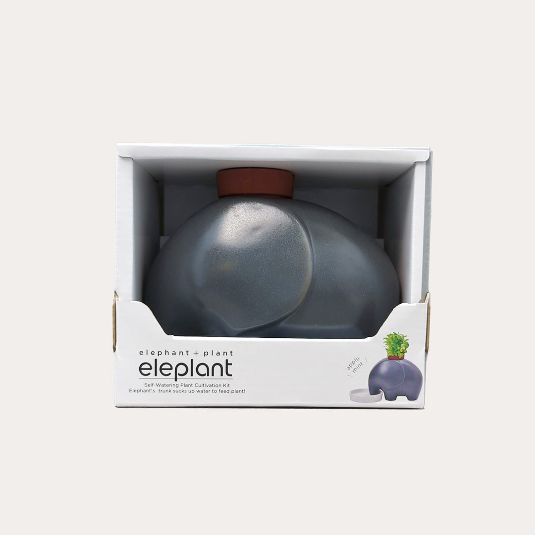 Eleplant [Elephant + Plant] | Apple Mint