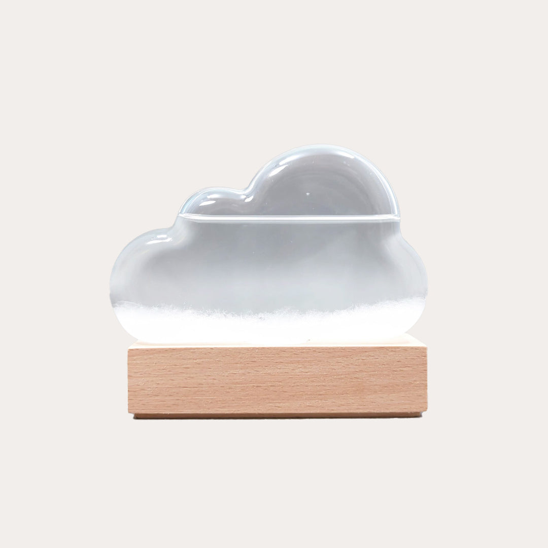 Storm Cloud: Weather predicting Instrument