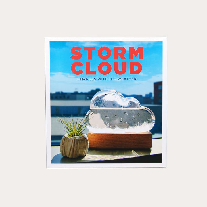 Storm Cloud: Weather predicting Instrument