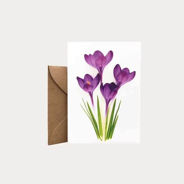 Crocus Enclosure Card