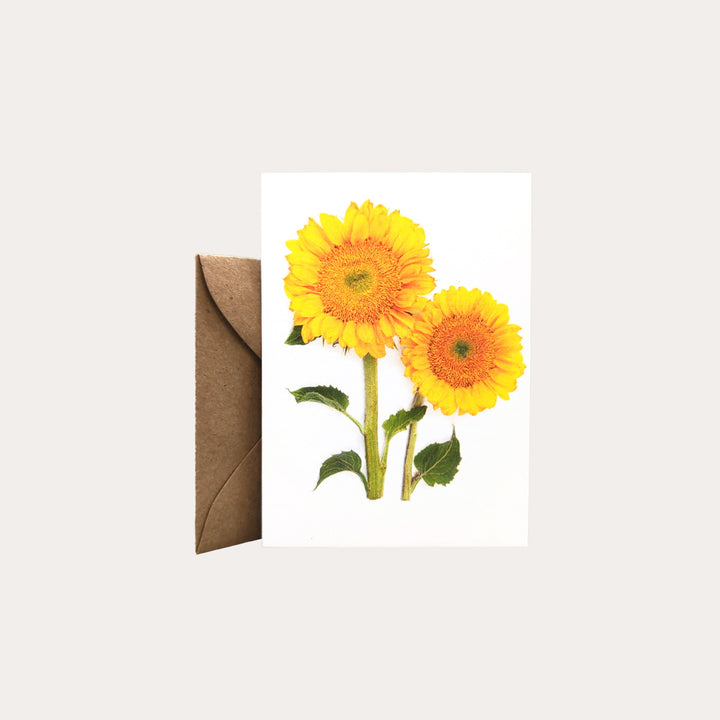 Sunflowers Enclosure Card