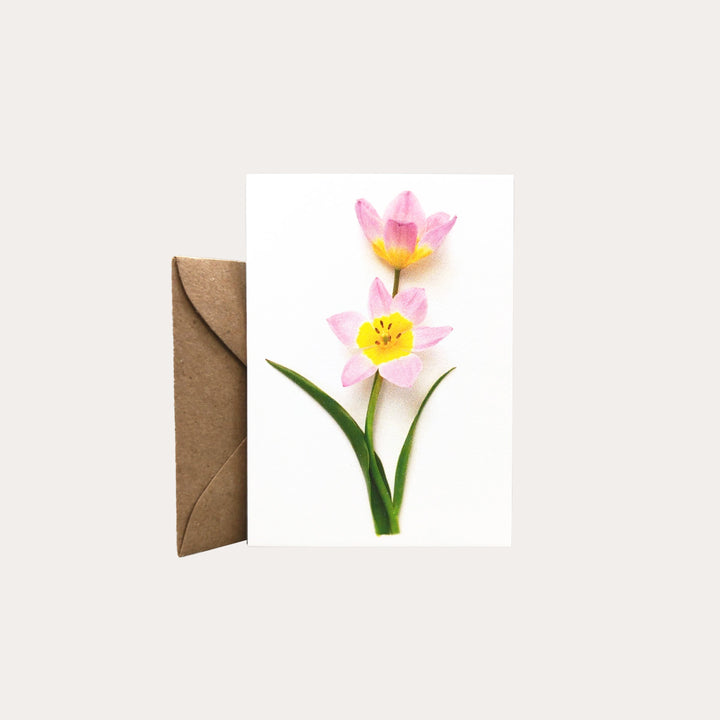 Pink Tulips Enclosure Card