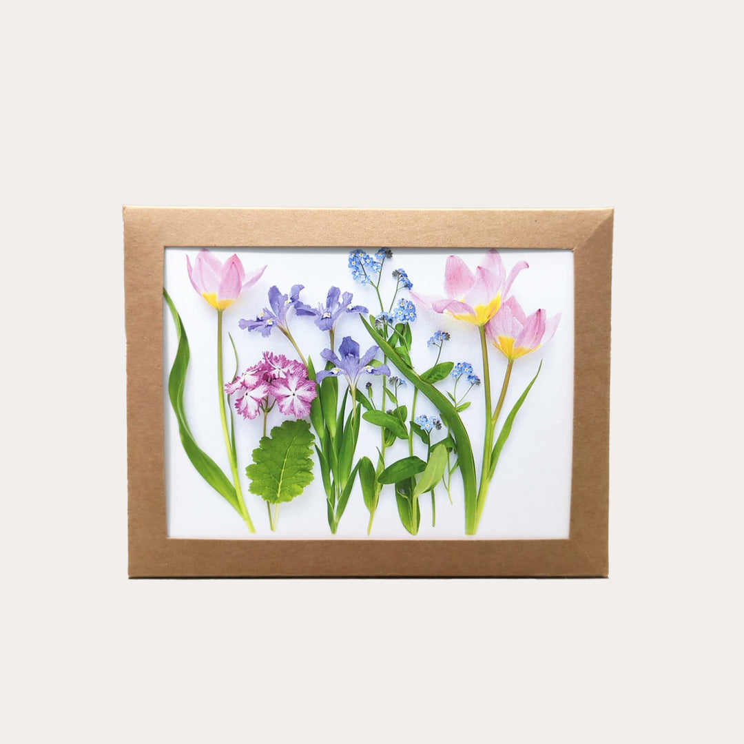 Pastel Spring | Assorted 8 Card Set