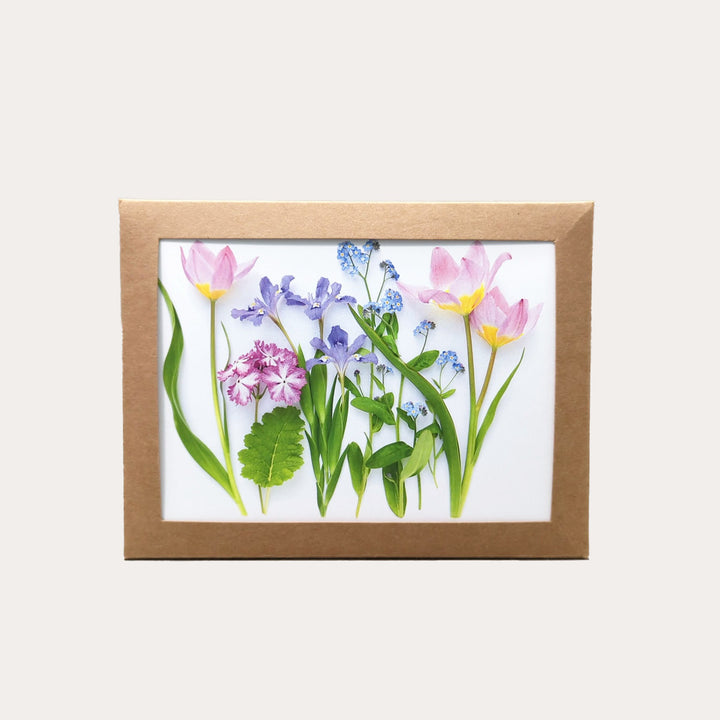 Pastel Spring | Assorted 8 Card Set
