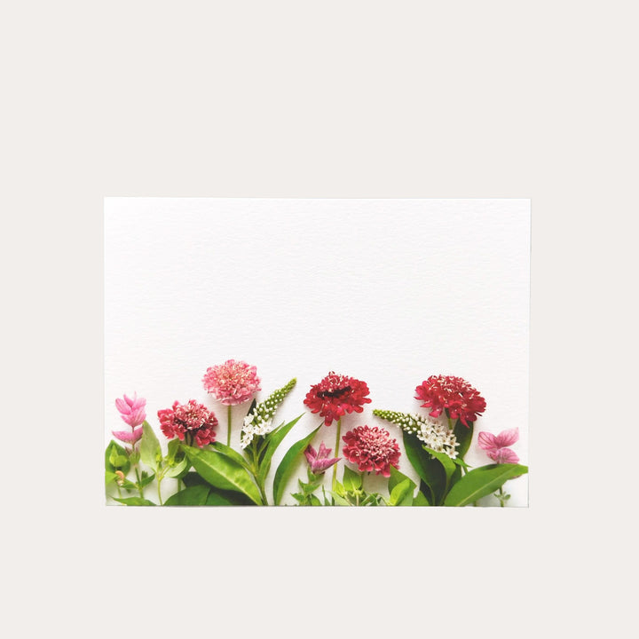 Red Pincushion Flowers | 8 Flat Card Set