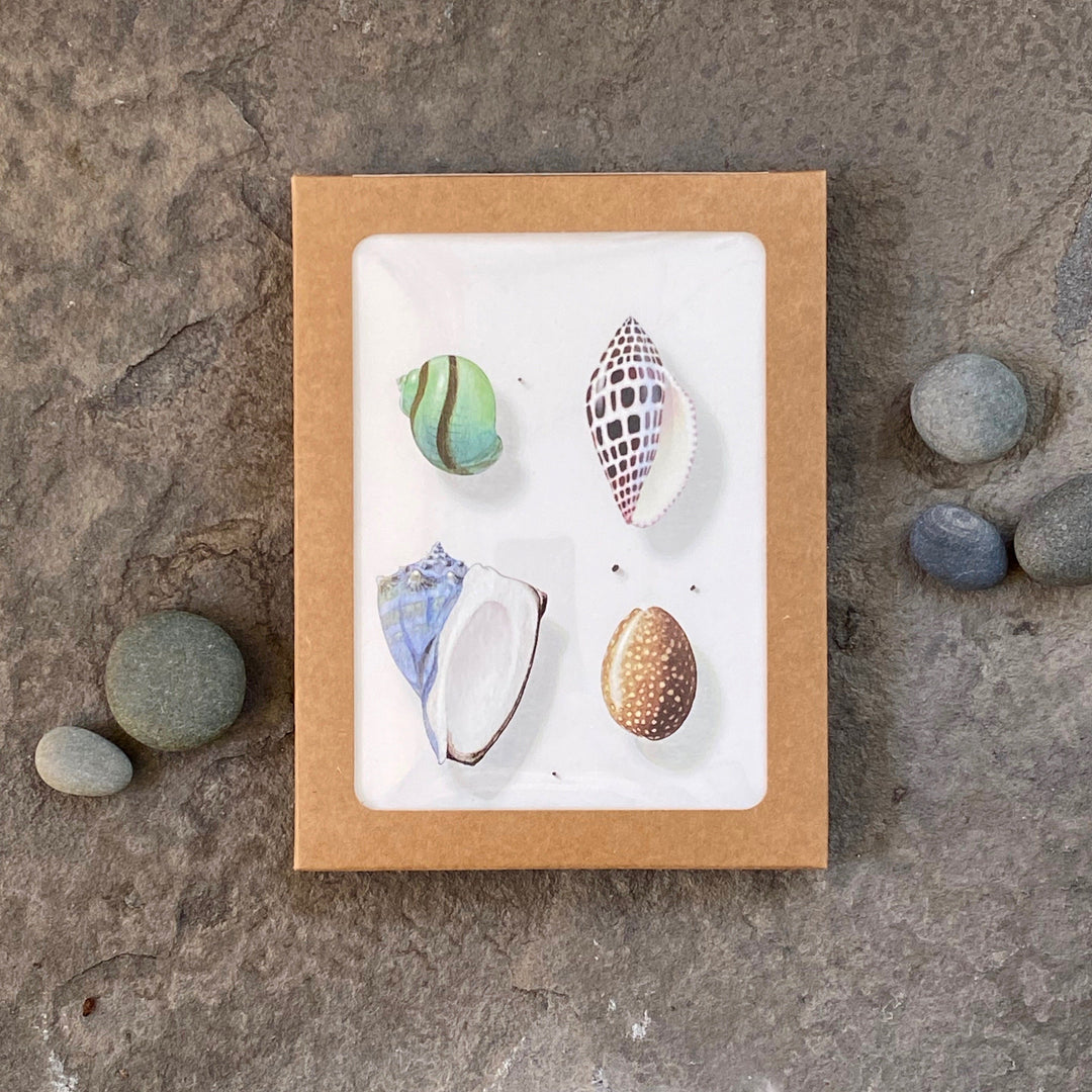Ocean Hue | Assorted 8 Card Set