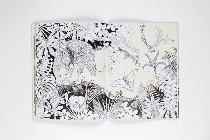 Into the Wild: An Exotic Woodland Coloring Book