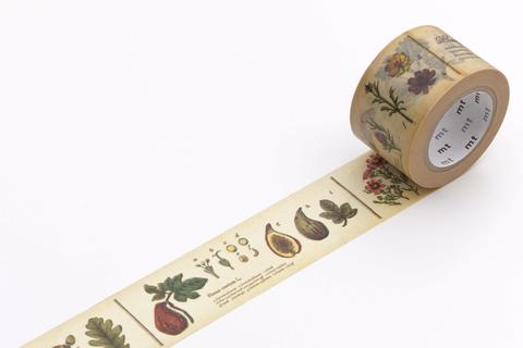 Plant Encyclopedia | Washi Tape