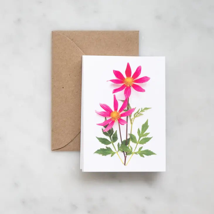 Pink Dahlias Enclosure Card