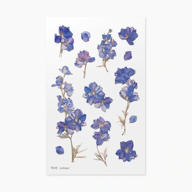 Larkspur | Pressed Flower Sticker