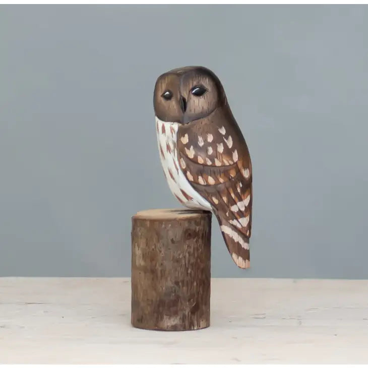 Mini Barred Owl