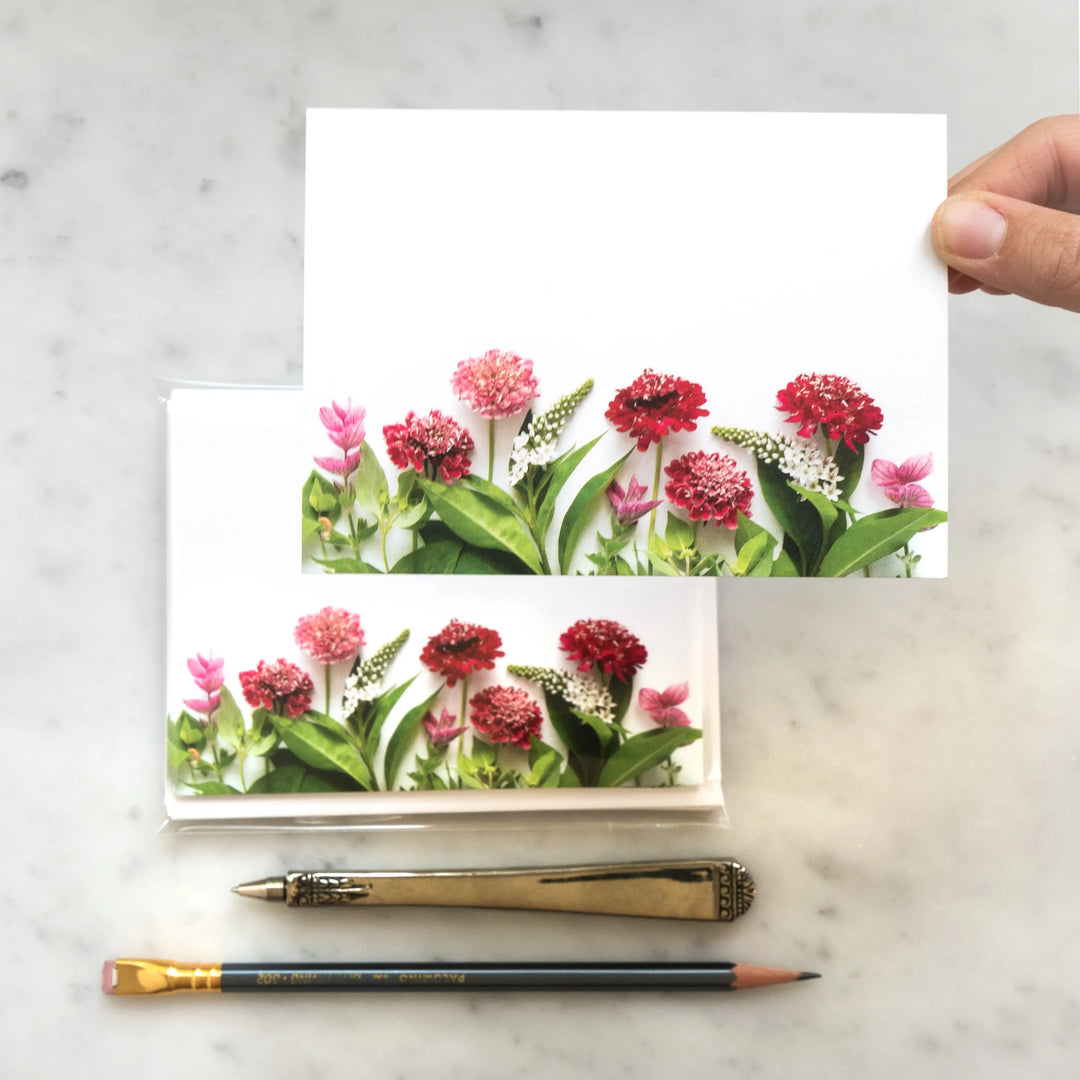 Red Pincushion Flowers | 8 Flat Card Set