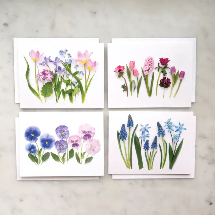 Pastel Spring | Assorted 8 Card Set