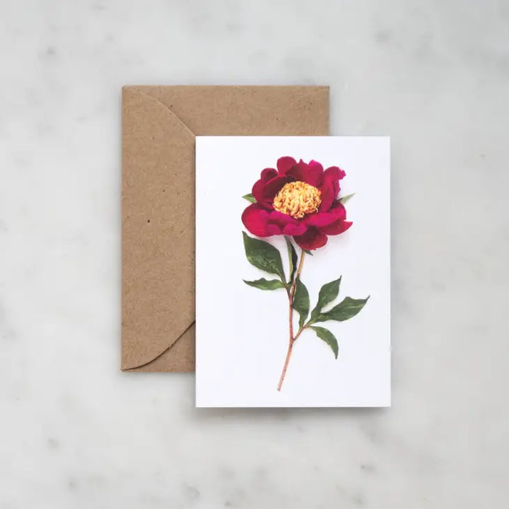 Peony Enclosure Card